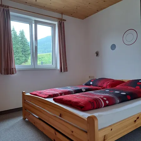 Apartment Schwarzbach Leogang